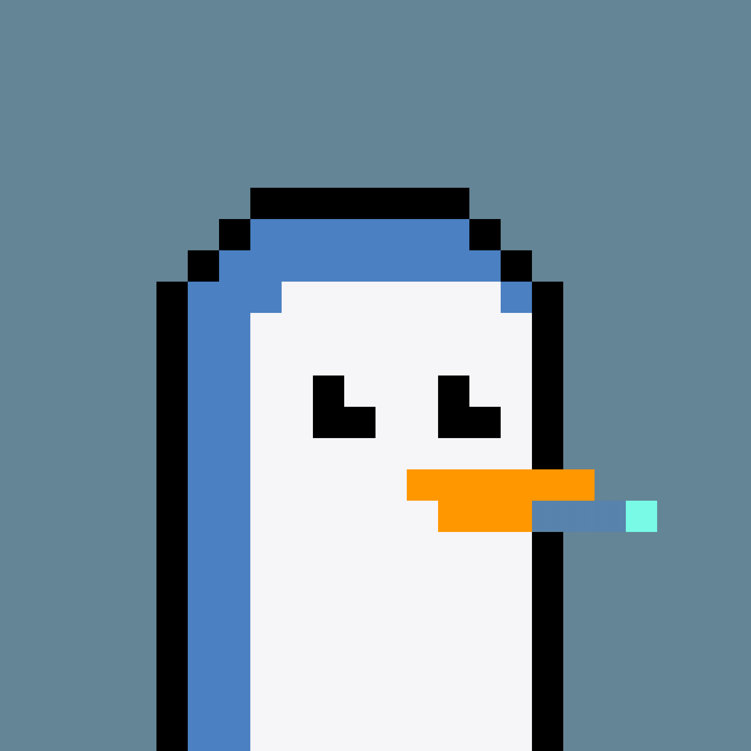 Pesky Penguin #4081, burned for 0.264 SOL