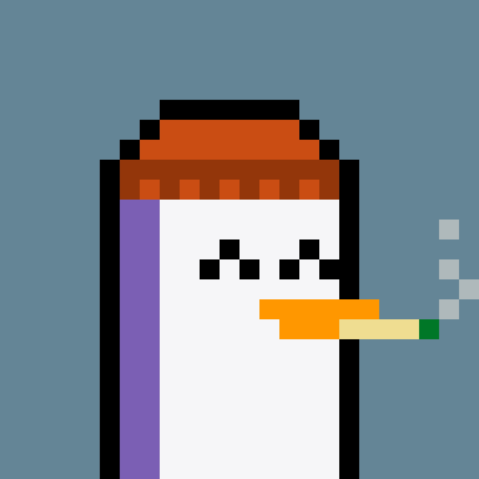 Pesky Penguin #5120, burned for 0.49 SOL