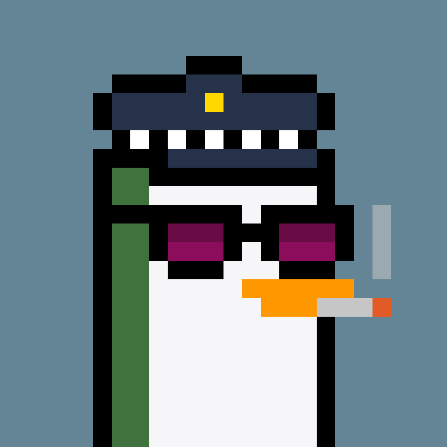 Pesky Penguin #6248, burned for 1 SOL