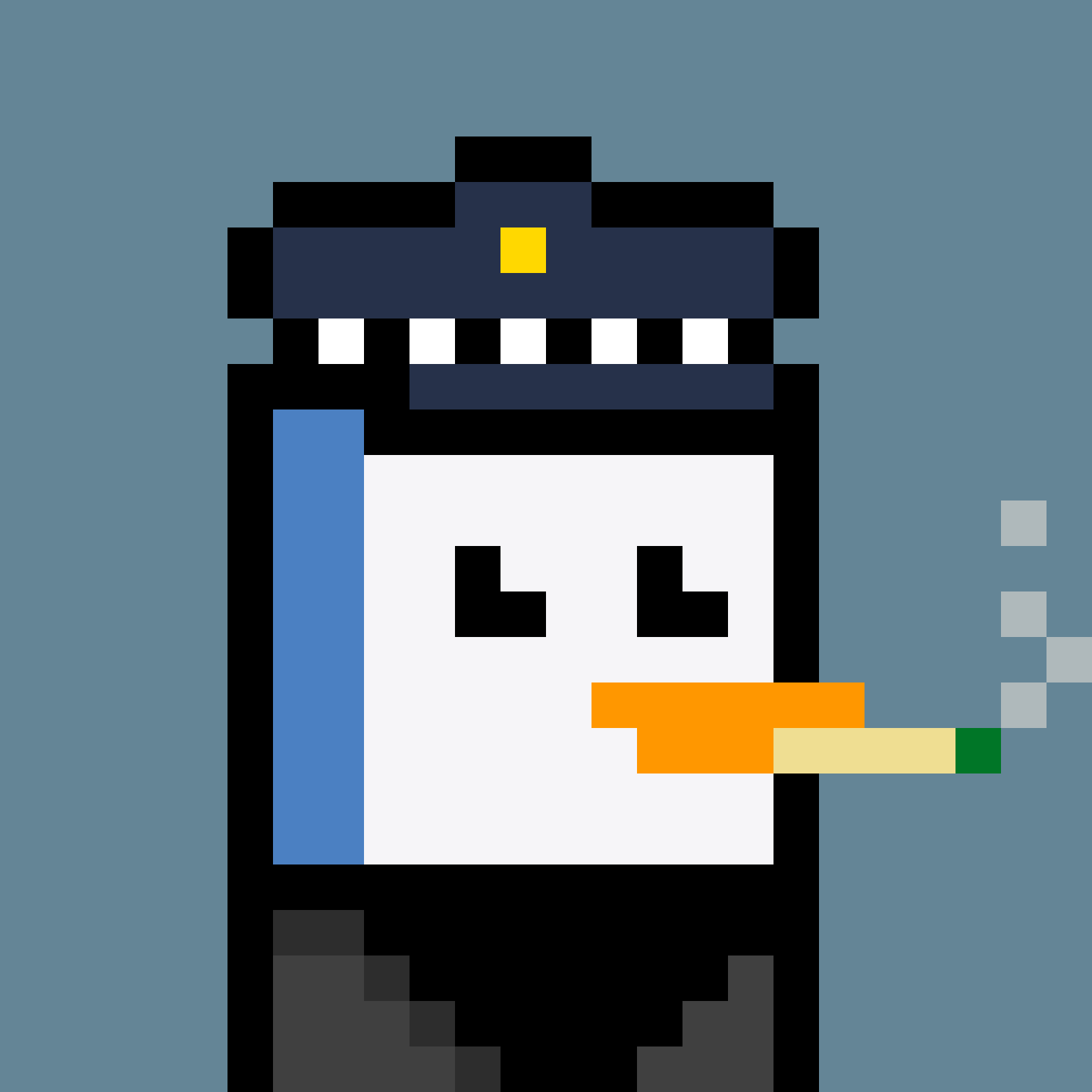 Pesky Penguins #7107, burned for 0.37 SOL