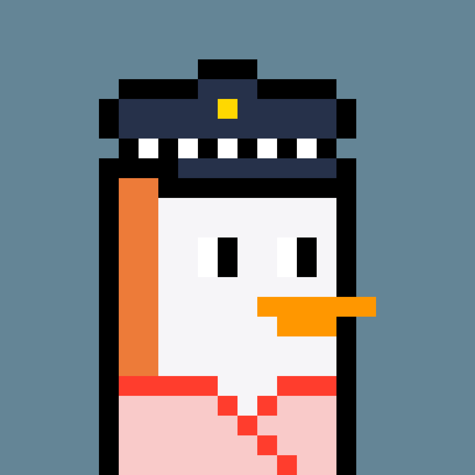 Pesky Penguin #798, burned for 3.69405072 SOL
